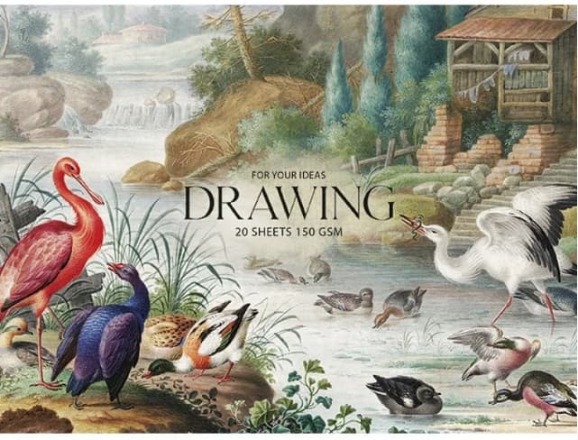 Альбом для рисования склейка 20 листов A5+ 150 гр/м2 Muse Drawing Школярик (1) PB-GB-020-050