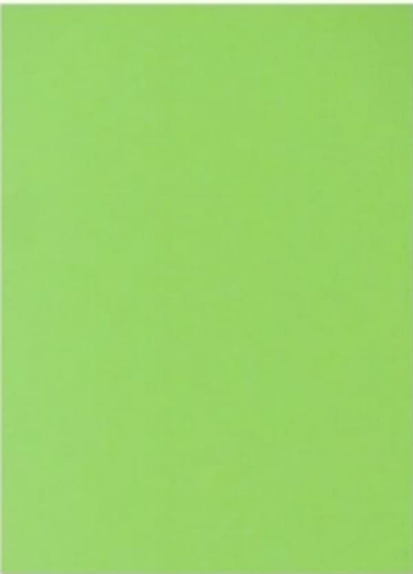 Бумага цветная А4 75 г/м неон Spectra Color Green 321 зеленая (10)