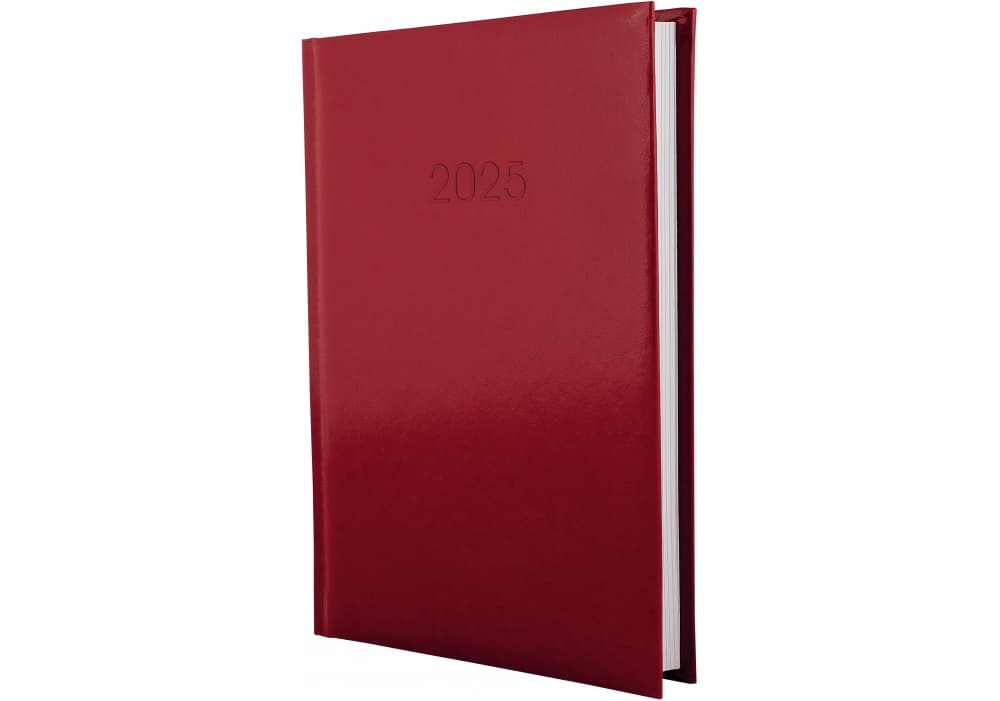 Ежедневник А5 Economix датированный 2025 Flash красный E21606-03