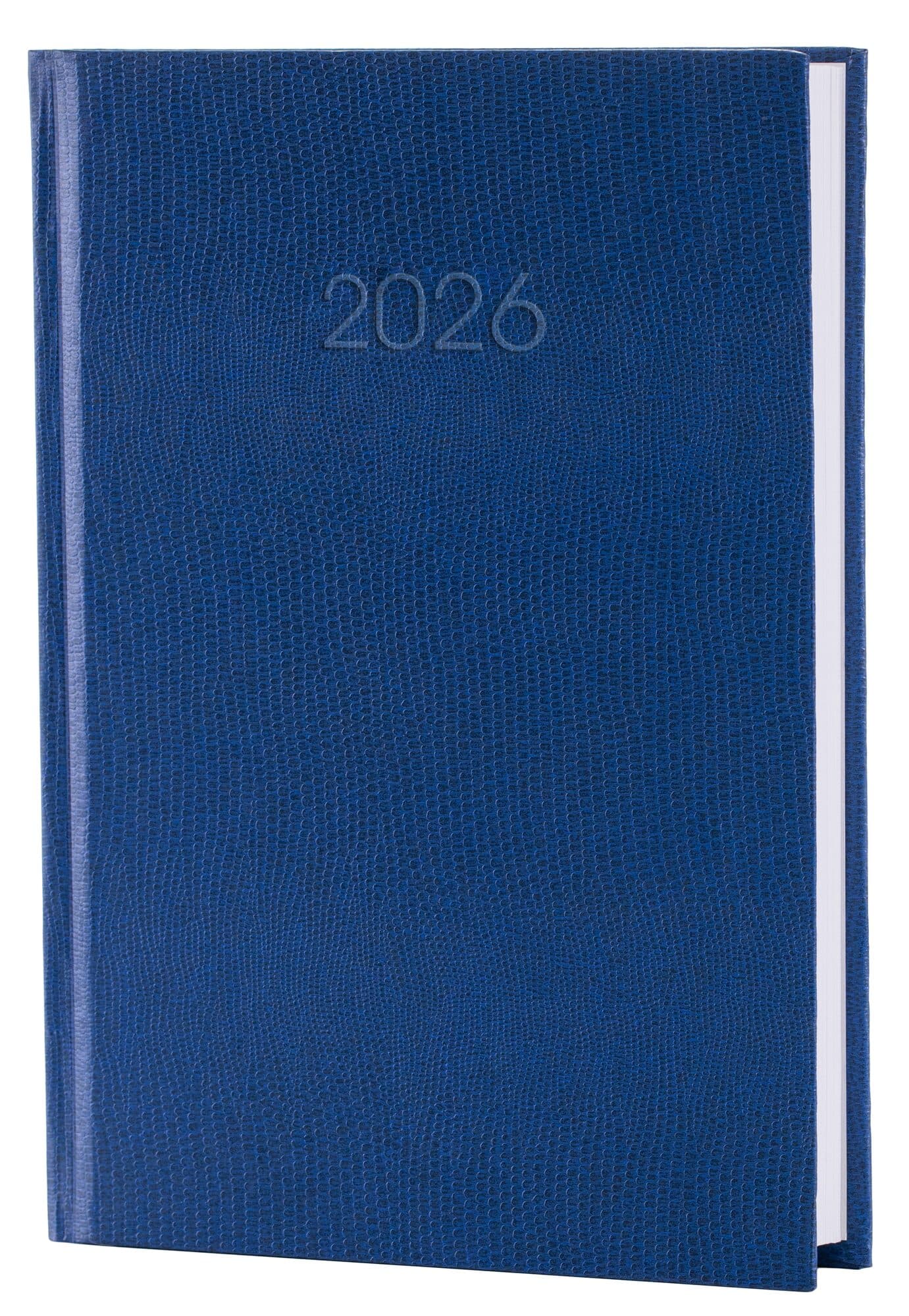 Ежедневник A5 Economix датированный 2025 Snake (змея) голубой E21633-11