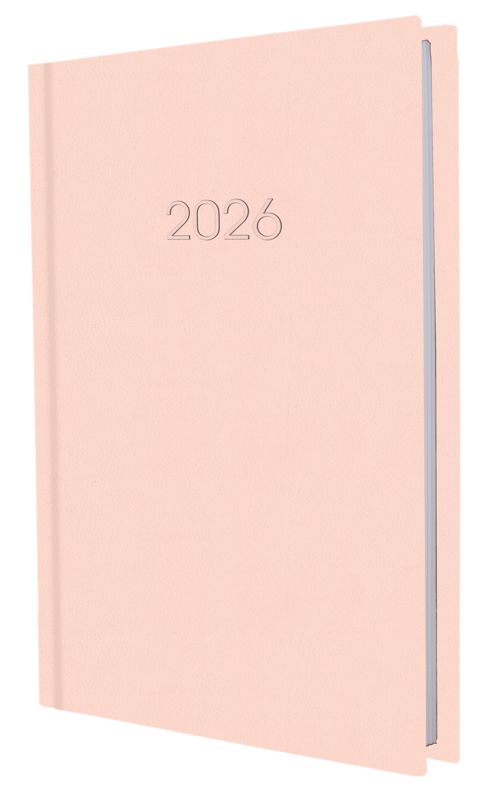 Ежедневник A5 Economix датированный 2025 Confetti розовый E21613-09