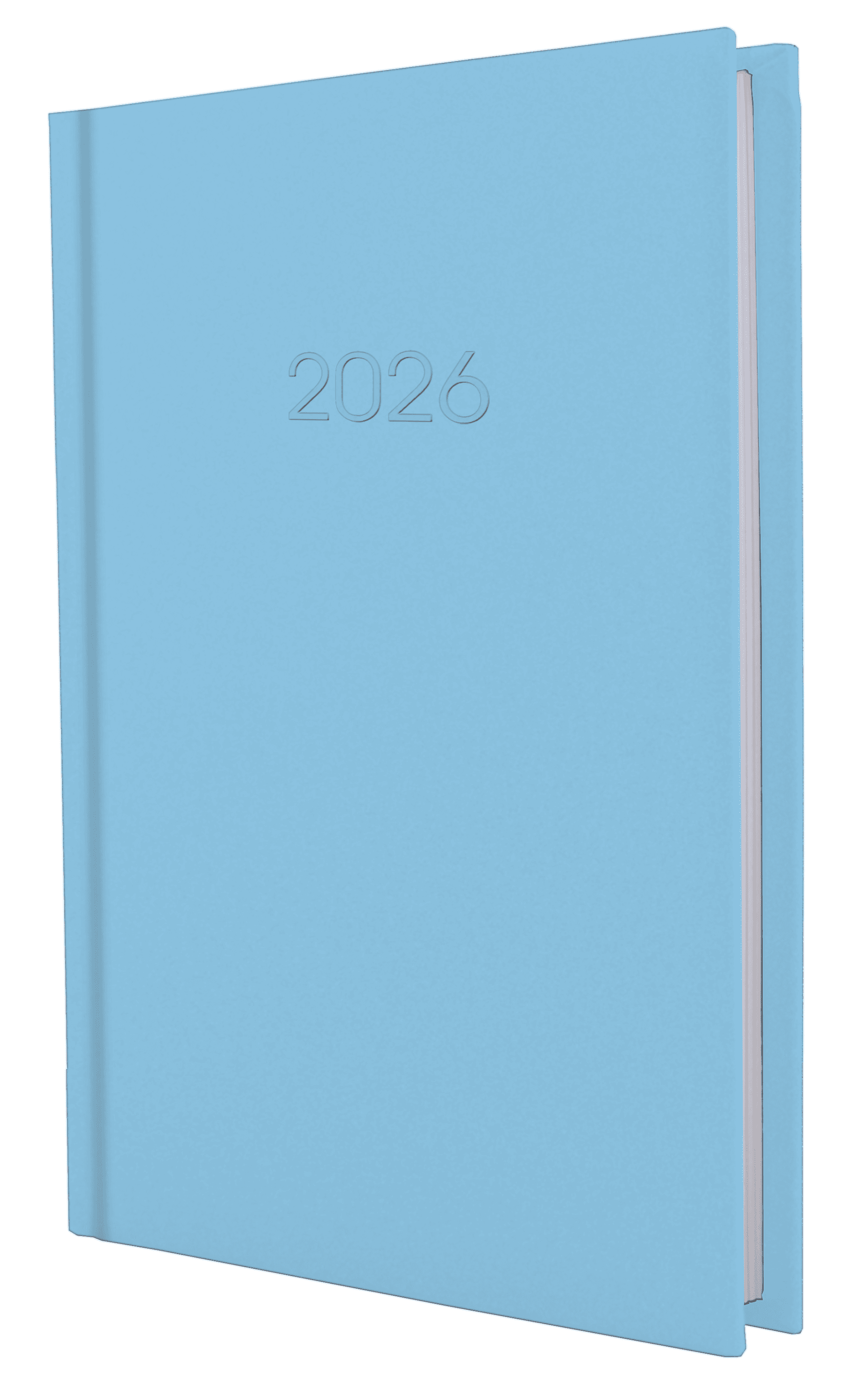 Щоденник A5 Economix датований 2025 Satin блакитний E21612-11  