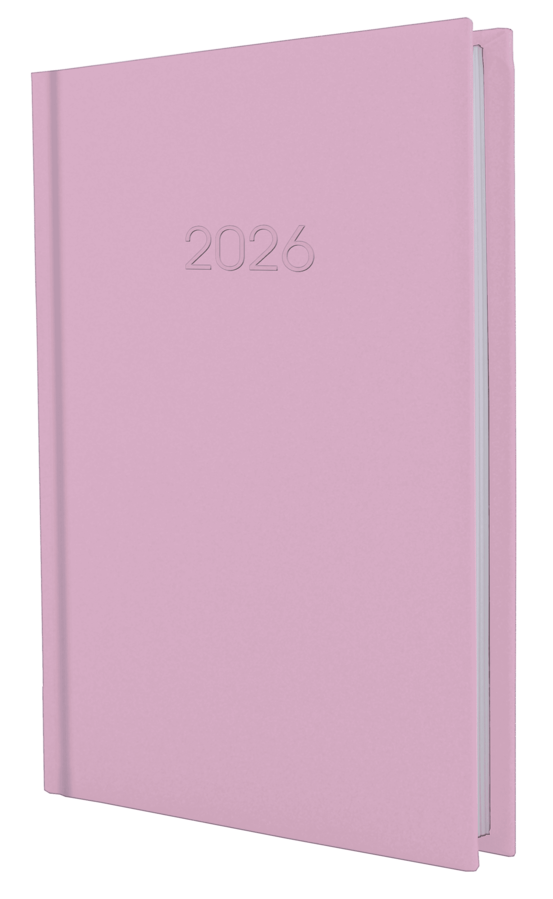 Ежедневник A5 Economix датированный 2025 Satin розовый E21612-09