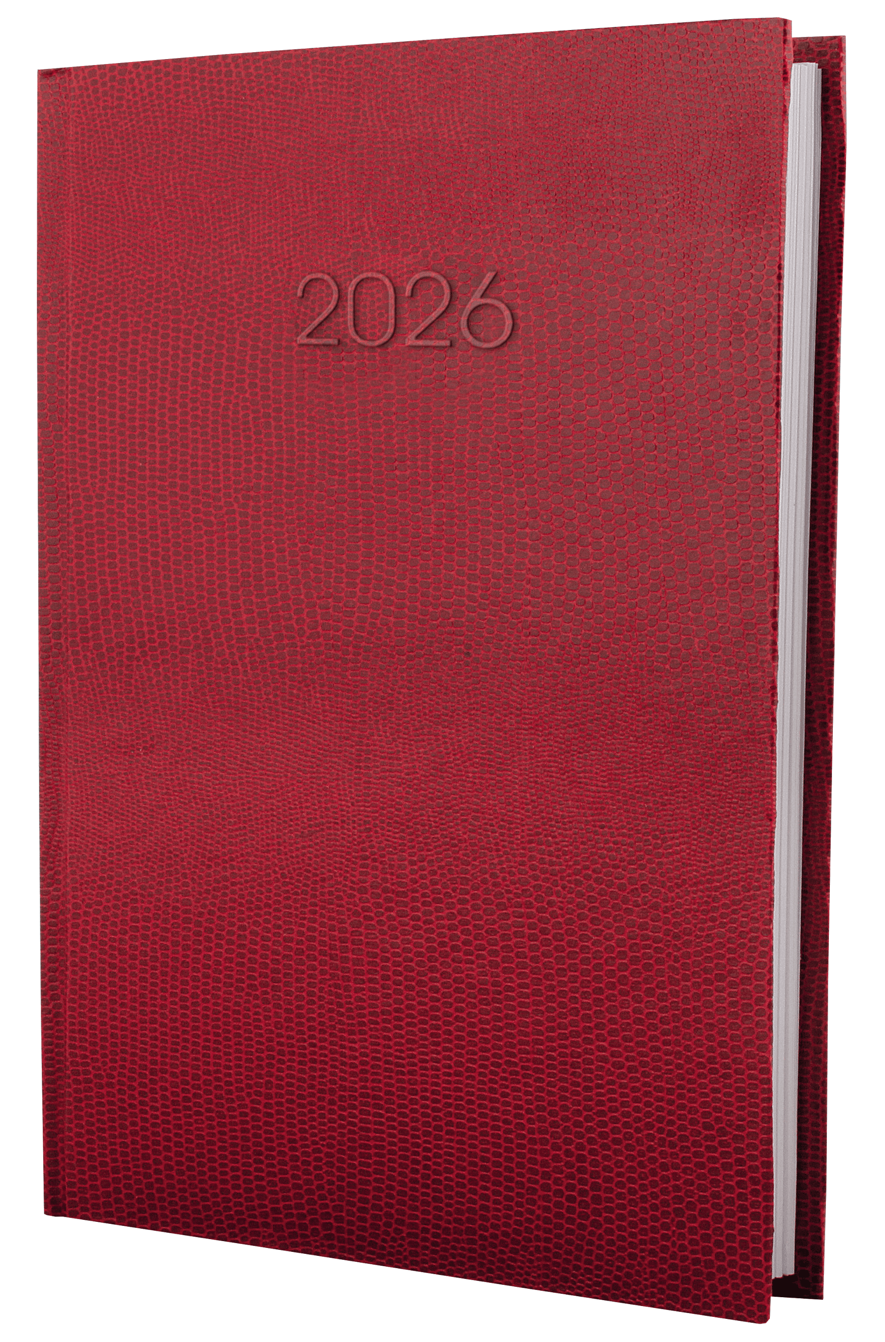 Ежедневник А5 Economix датированный 2025 Snake (змея) красный E21633-03