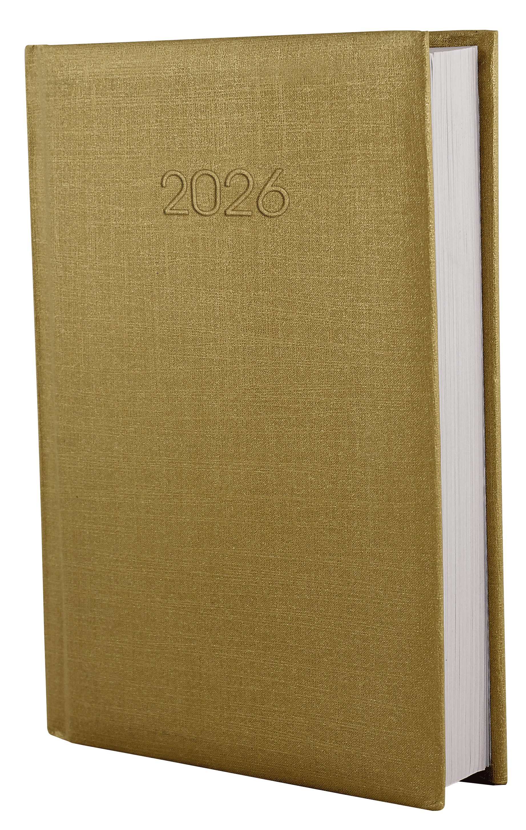 Ежедневник A5 Economix датированный 2025 Текстиль золото №E21634-15 (20)