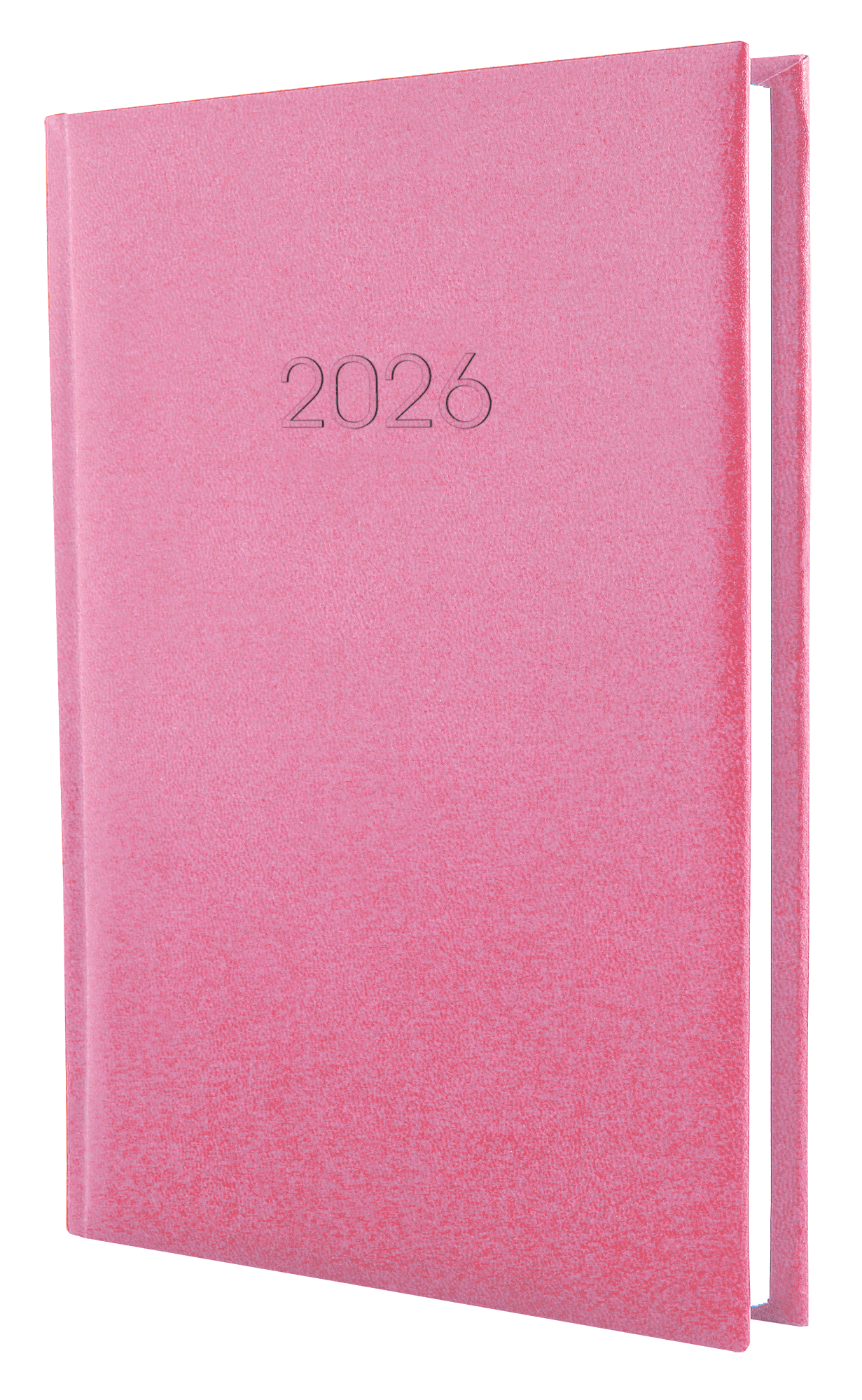Ежедневник A5 Economix датированный 2025 Principe розовый №E21690-09 (20)