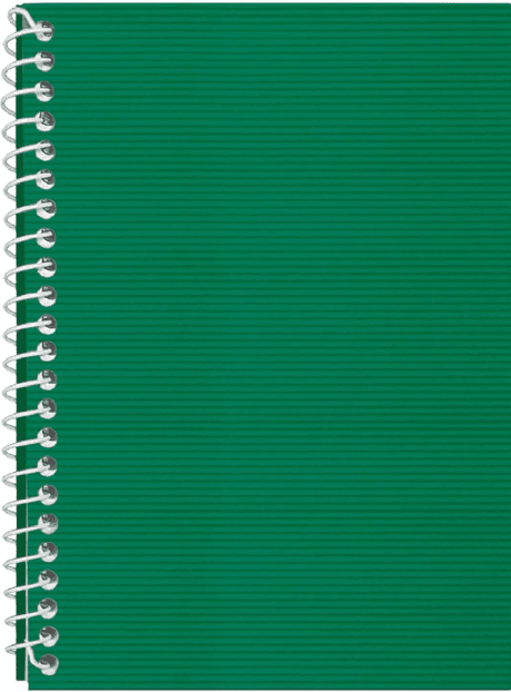 Блокнот пруж. бок. А5 48арк. кліт. пласт. обкл.,зелений №E20302-04/Economix/(1)(80)