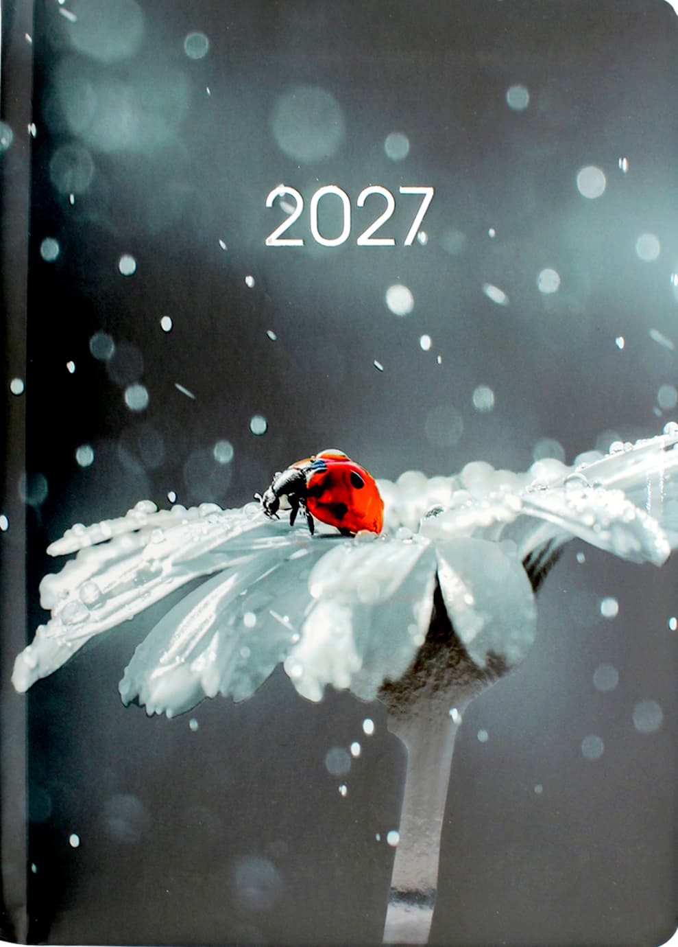 Щоден. А5 "Economix" дат2026 №E21899(20)