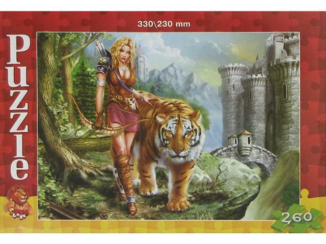 Пазлы Danko Toys 0457 260 элементов