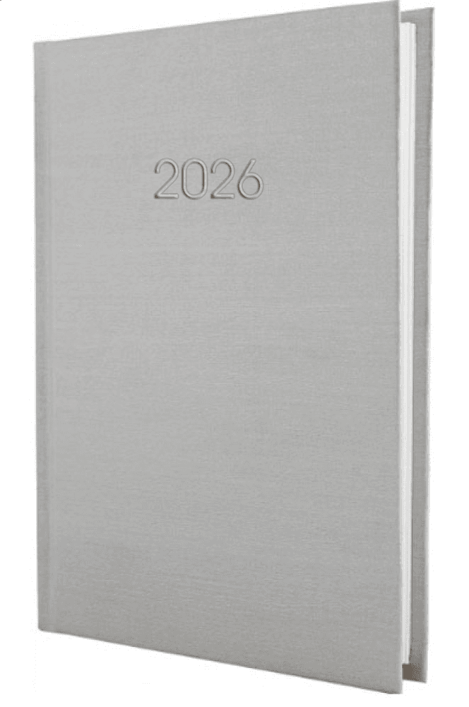 Ежедневник A5 Economix датированный 2025 Текстиль серебро №E21634-16 (20)