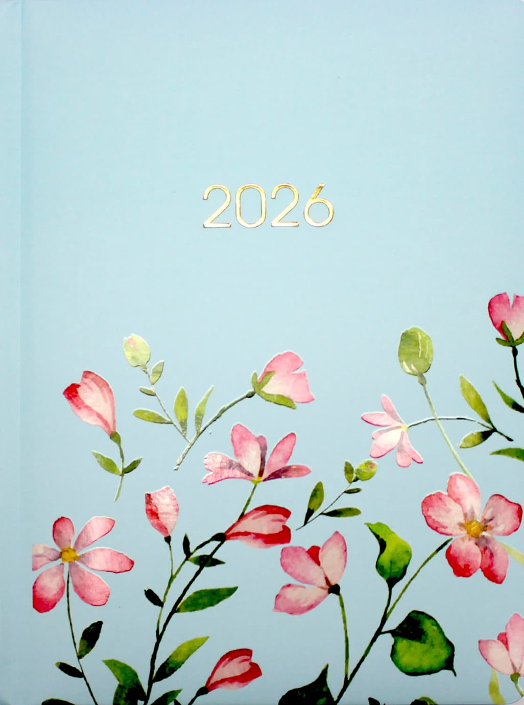 Ежедневник A5 Economix датированный 2025 E21839